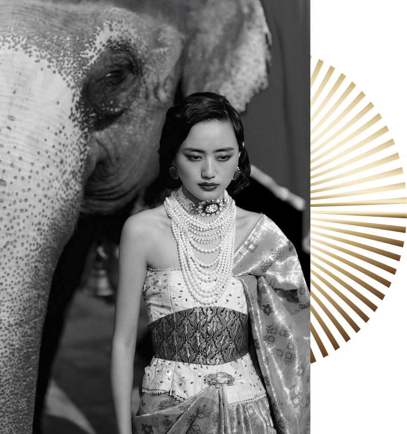 As The Golden Bird,
we envision reviving
India's golden ages
through heritage crafts,
empowered artisans,
and thoughtful design.